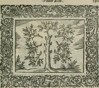 An illustration from Minerua Britanna, or, A garden of heroical deuises, furnished, and adorned with emblemes and impresa's of sundry natures, (1612)