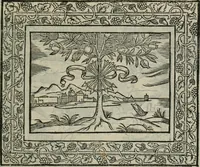 An illustration from Minerua Britanna, or, A garden of heroical deuises, furnished, and adorned with emblemes and impresa's of sundry natures, (1612)