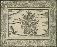 An illustration from Minerua Britanna, or, A garden of heroical deuises, furnished, and adorned with emblemes and impresa's of sundry natures, (1612)