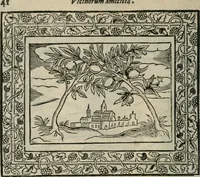 An illustration from Minerua Britanna, or, A garden of heroical deuises, furnished, and adorned with emblemes and impresa's of sundry natures, (1612)