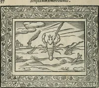 An illustration from Minerua Britanna, or, A garden of heroical deuises, furnished, and adorned with emblemes and impresa's of sundry natures, (1612)