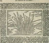 An illustration from Minerua Britanna, or, A garden of heroical deuises, furnished, and adorned with emblemes and impresa's of sundry natures, (1612)
