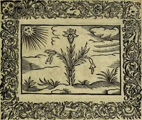 An illustration from Minerva Britanna Or A Garden Of Heroical Deuises, furnished, and adorned with Emblemes and Impresa's of sundry natures (1612)