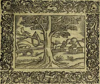 An illustration from Minerva Britanna Or A Garden Of Heroical Deuises, furnished, and adorned with Emblemes and Impresa's of sundry natures (1612)