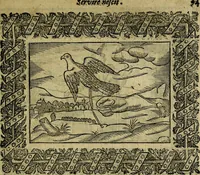 An illustration from Minerva Britanna Or A Garden Of Heroical Deuises, furnished, and adorned with Emblemes and Impresa's of sundry natures (1612)