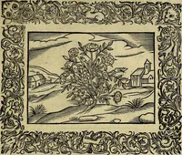 An illustration from Minerva Britanna Or A Garden Of Heroical Deuises, furnished, and adorned with Emblemes and Impresa's of sundry natures (1612)