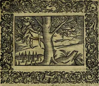 An illustration from Minerva Britanna Or A Garden Of Heroical Deuises, furnished, and adorned with Emblemes and Impresa's of sundry natures (1612)