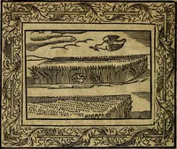 An illustration from Minerva Britanna Or A Garden Of Heroical Deuises, furnished, and adorned with Emblemes and Impresa's of sundry natures (1612)