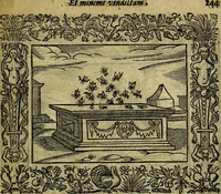 An illustration from Minerva Britanna Or A Garden Of Heroical Deuises, furnished, and adorned with Emblemes and Impresa's of sundry natures (1612)