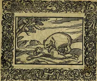 An illustration from Minerva Britanna Or A Garden Of Heroical Deuises, furnished, and adorned with Emblemes and Impresa's of sundry natures (1612)