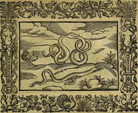 An illustration from Minerva Britanna Or A Garden Of Heroical Deuises, furnished, and adorned with Emblemes and Impresa's of sundry natures (1612)