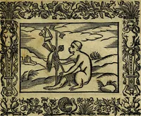 Picture 206 of 256 from Minerva Britanna Or A Garden Of Heroical Deuises, furnished, and adorned with Emblemes and Impresa's of sundry natures (1612), leaf 192