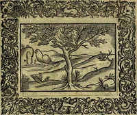 An illustration from Minerva Britanna Or A Garden Of Heroical Deuises, furnished, and adorned with Emblemes and Impresa's of sundry natures (1612)