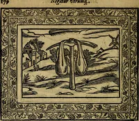 Picture 219 of 256 from Minerva Britanna Or A Garden Of Heroical Deuises, furnished, and adorned with Emblemes and Impresa's of sundry natures (1612), leaf 203