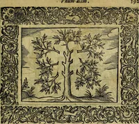 An illustration from Minerva Britanna Or A Garden Of Heroical Deuises, furnished, and adorned with Emblemes and Impresa's of sundry natures (1612)