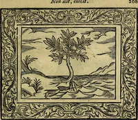 An illustration from Minerva Britanna Or A Garden Of Heroical Deuises, furnished, and adorned with Emblemes and Impresa's of sundry natures (1612)