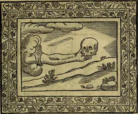 An illustration from Minerva Britanna Or A Garden Of Heroical Deuises, furnished, and adorned with Emblemes and Impresa's of sundry natures (1612)