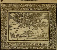 Picture 48 of 256 from Minerva Britanna Or A Garden Of Heroical Deuises, furnished, and adorned with Emblemes and Impresa's of sundry natures (1612), leaf 61