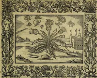 Picture 58 of 256 from Minerva Britanna Or A Garden Of Heroical Deuises, furnished, and adorned with Emblemes and Impresa's of sundry natures (1612), leaf 70