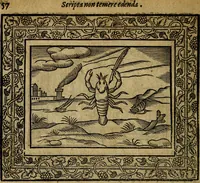 Picture 67 of 256 from Minerva Britanna Or A Garden Of Heroical Deuises, furnished, and adorned with Emblemes and Impresa's of sundry natures (1612), leaf 77