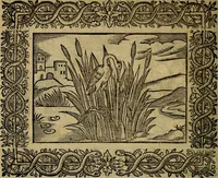 Picture 77 of 256 from Minerva Britanna Or A Garden Of Heroical Deuises, furnished, and adorned with Emblemes and Impresa's of sundry natures (1612), leaf 83
