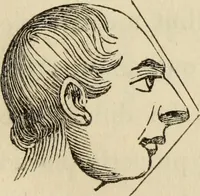 An illustration from The miniature painter's manual containing progressive lessons on the art of drawing and painting likenesses from life on card-board, vellum, and ivory, with concise remarks on the delineation of character and caricature (1844)