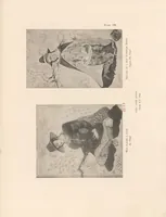 Picture 4 of 7 from The miniature painting and painters of Persia, India and Turkey, from the 8th to the 18th century ... (1912), leaf 335