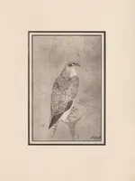 An illustration from Miniatures persanes : tirées des collections de MM. Henry d'Allemagne, Claude Anet, Henri Aubry... (1913)