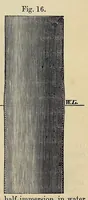 Picture 6 of 8 from Minutes of proceedings of the Royal Artillery Institution (1858), leaf 353