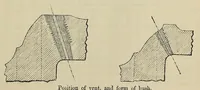 Picture 6 of 7 from Minutes of proceedings of the Royal Artillery Institution (1858), leaf 413