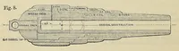 An illustration from Minutes of proceedings of the Royal Artillery Institution (1858)