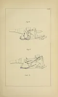 An illustration from Minutes of proceedings of the Royal Artillery Institution (1858)