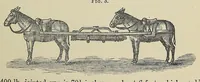 Picture 4 of 8 from Minutes of proceedings of the Royal Artillery Institution (1858), leaf 349