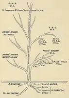 Picture 6 of 10 from Minutes of proceedings of the Royal Artillery Institution (1858), leaf 290