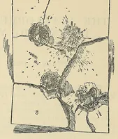 An illustration from Minutes of proceedings of the Royal Artillery Institution (1858)