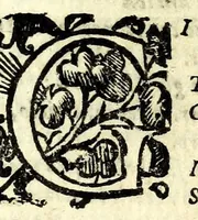 An illustration from Mirinda : favola pastorale (1619)