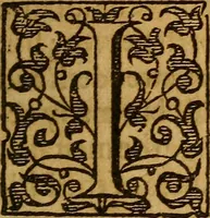 An illustration from The mirror of alchimy (1597)
