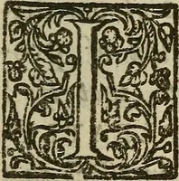 An illustration from The mirrour which flatters not. (1639)