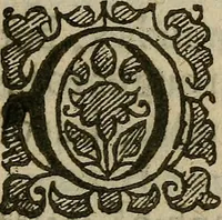 An illustration from The mirrour which flatters not. (1639)