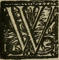 An illustration from The mirrour which flatters not. (1639)
