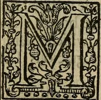 Picture 7 of 16 from The mirrour which flatters not. (1639), leaf 40