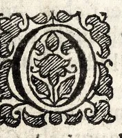 An illustration from The mirrour which flatters not : dedicated to their Maiesties of Great Britaine (1639)