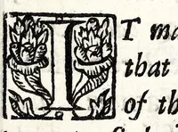 An illustration from The mirrour which flatters not : dedicated to their Maiesties of Great Britaine (1639)
