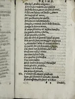 An illustration from Mirtilla : pastorale (1598)