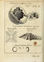 Picture 2 of 15 from Miscellanea Curiosa, sive Ephemiridum Medico-Physicarum Germanicarum Academiae Naturae Curiosorum (1692), leaf 56