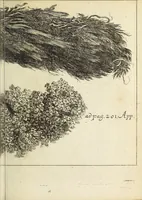 Picture 12 of 15 from Miscellanea Curiosa, sive Ephemiridum Medico-Physicarum Germanicarum Academiae Naturae Curiosorum (1692), leaf 695