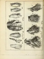 Picture 13 of 15 from Miscellanea Curiosa, sive Ephemiridum Medico-Physicarum Germanicarum Academiae Naturae Curiosorum (1692), leaf 712