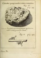 Picture 3 of 15 from Miscellanea Curiosa, sive Ephemiridum Medico-Physicarum Germanicarum Academiae Naturae Curiosorum (1692), leaf 89