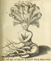 An illustration from Miscellanea Curiosa Medico-Physica Academiae Naturae Curiosorum (1670)
