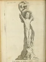 Picture 24 of 35 from Miscellanea Curiosa Medico-Physica Academiae Naturae Curiosorum (1670), leaf 315